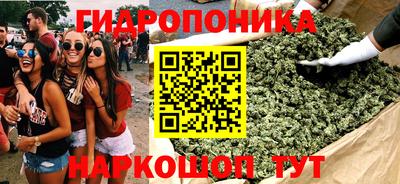 прущие крисы Камышлов
