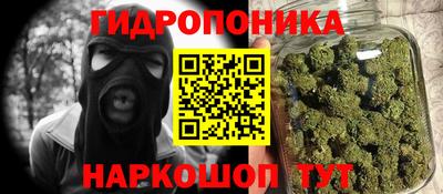 прущие крисы Камышлов