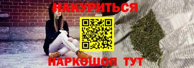 прущие крисы Камышлов