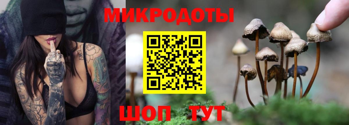 Псилоцибиновые грибы ЛСД Краснодар